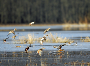 Partnerships key to new Oregon conservation area