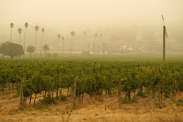 California farmworkers face outsize wildfire harm, study finds