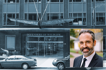 New boss starts at Defenders of Wildlife