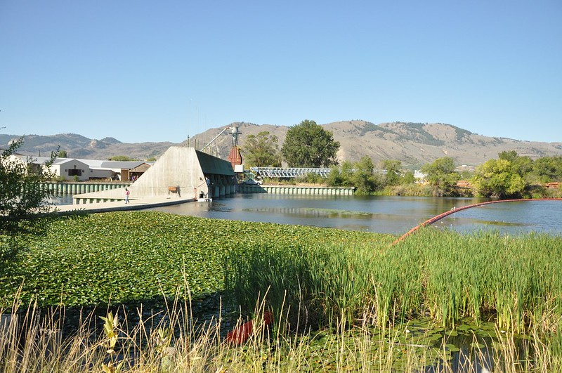 The Zosel Dam on the Okanogan River downstream of Osoyoos Lake. 